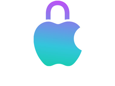 Icono de privacidad de Apple